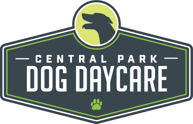Central Park Dog Daycare: Welcome