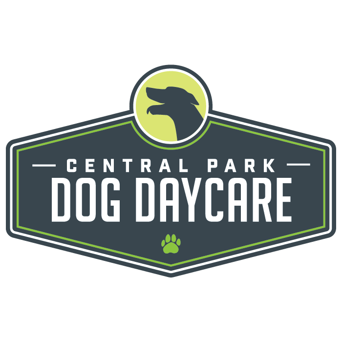 Central Park Dog Daycare
